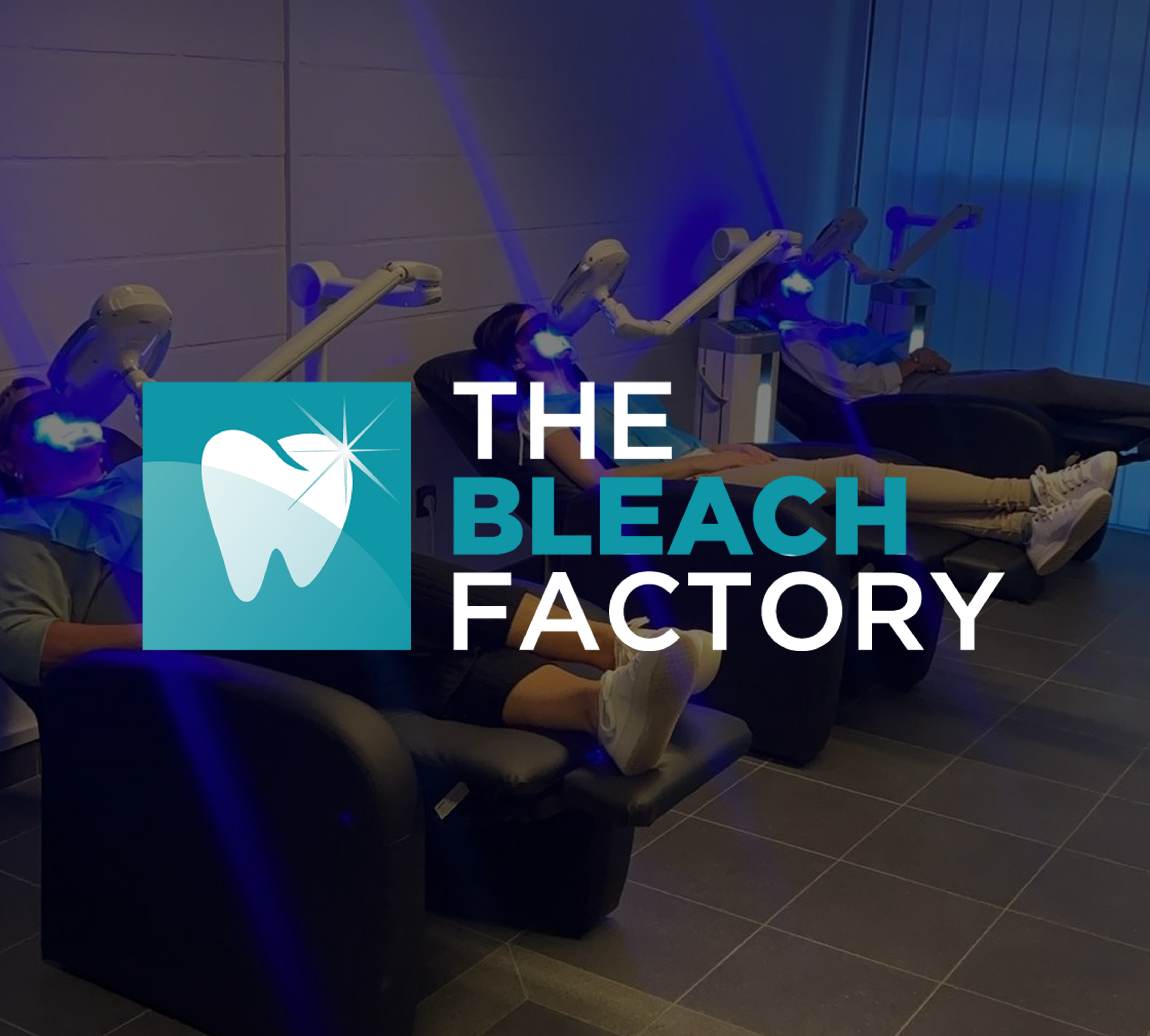 The Bleach Factory